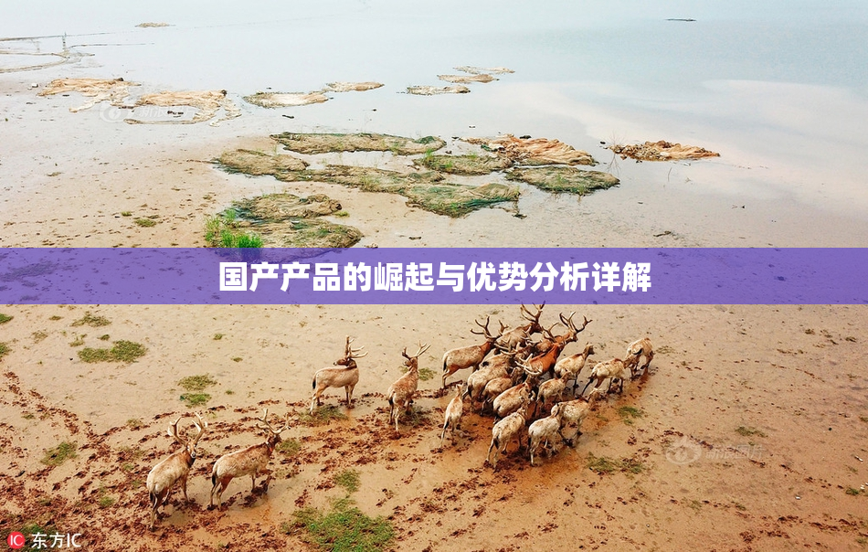 国产产品的崛起与优势分析详解