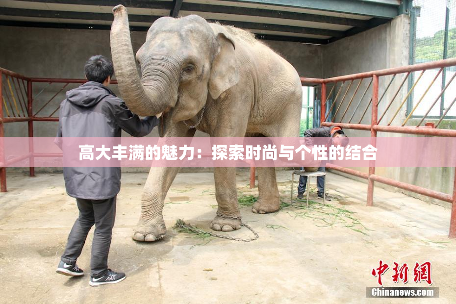 高大丰满的魅力：探索时尚与个性的结合