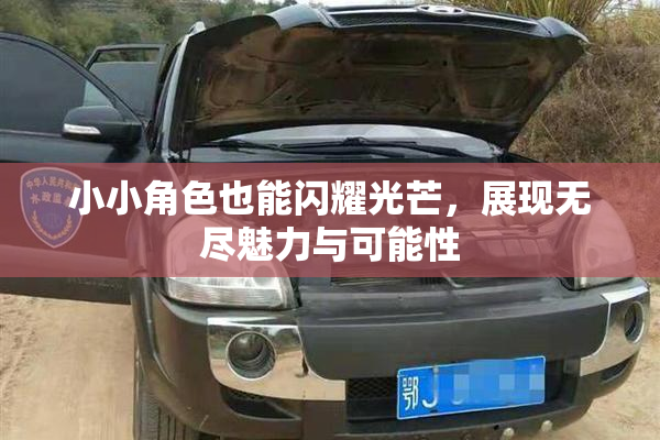 小小角色也能闪耀光芒，展现无尽魅力与可能性