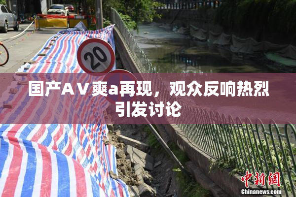 国产AⅤ爽a再现，观众反响热烈引发讨论