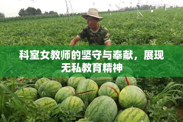科室女教师的坚守与奉献，展现无私教育精神