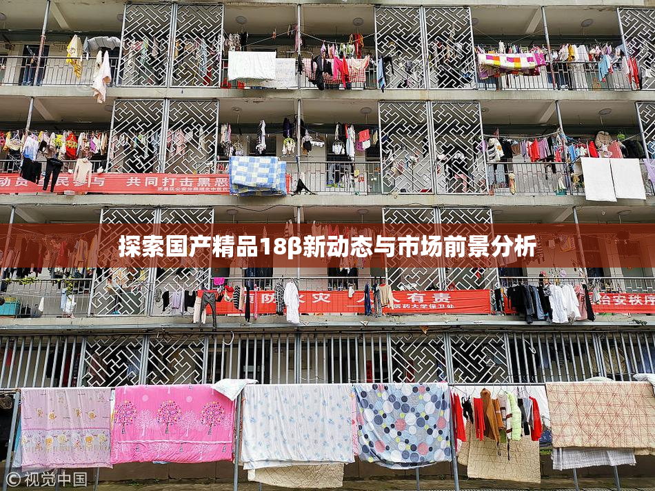 探索国产精品18β新动态与市场前景分析