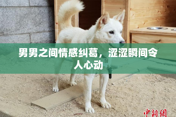 男男之间情感纠葛，涩涩瞬间令人心动
