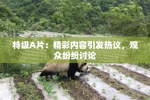 特级A片：精彩内容引发热议，观众纷纷讨论
