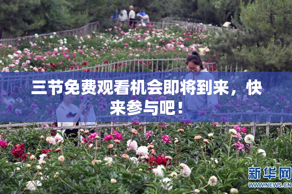 三节免费观看机会即将到来，快来参与吧！