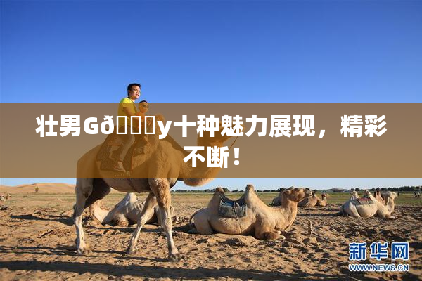 壮男G🈚y十种魅力展现，精彩不断！