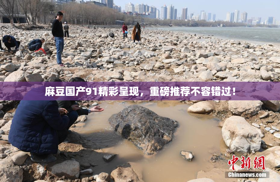 麻豆国产91精彩呈现，重磅推荐不容错过！