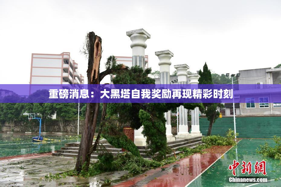 重磅消息：大黑塔自我奖励再现精彩时刻