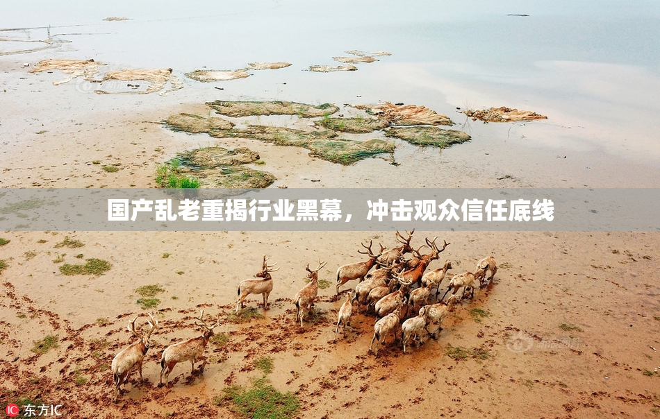 国产乱老重揭行业黑幕，冲击观众信任底线