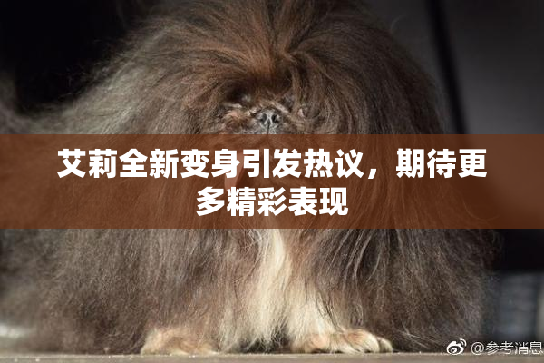 艾莉全新变身引发热议，期待更多精彩表现
