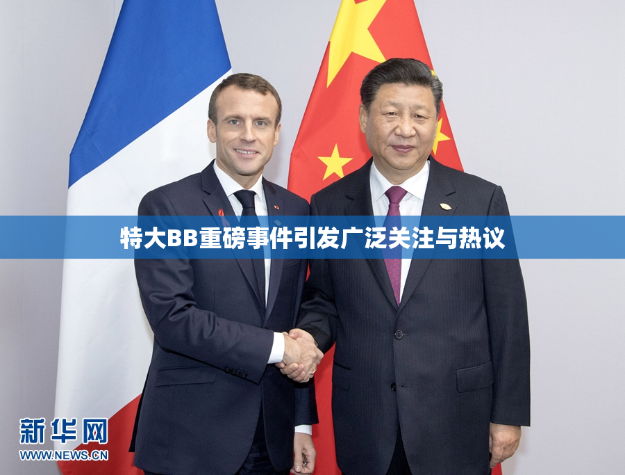 特大BB重磅事件引发广泛关注与热议