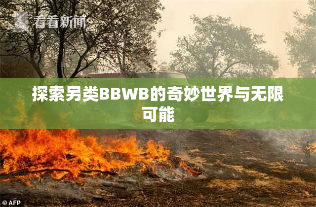 探索另类BBWB的奇妙世界与无限可能