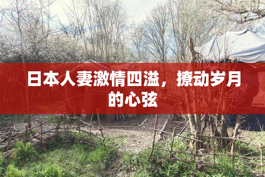 日本人妻激情四溢，撩动岁月的心弦