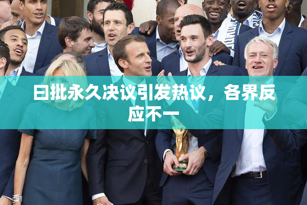 曰批永久决议引发热议，各界反应不一