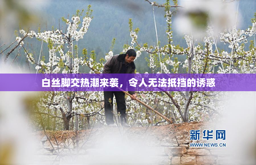 白丝脚交热潮来袭，令人无法抵挡的诱惑