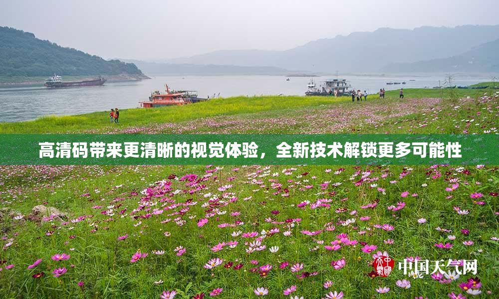 高清码带来更清晰的视觉体验，全新技术解锁更多可能性