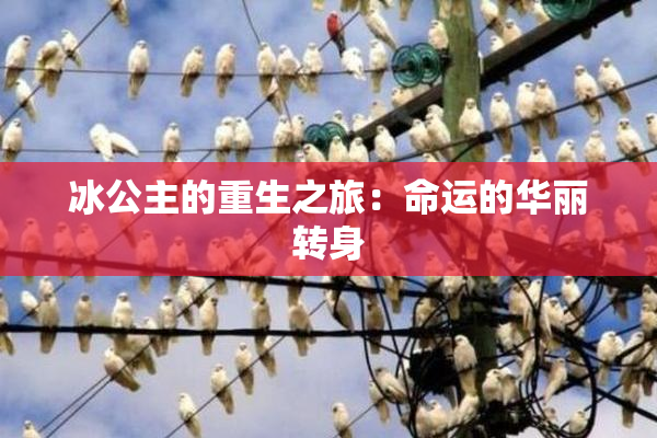 冰公主的重生之旅：命运的华丽转身