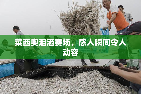 菜西奥泪洒赛场，感人瞬间令人动容