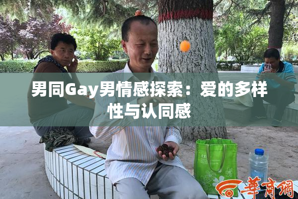 男同Gay男情感探索：爱的多样性与认同感