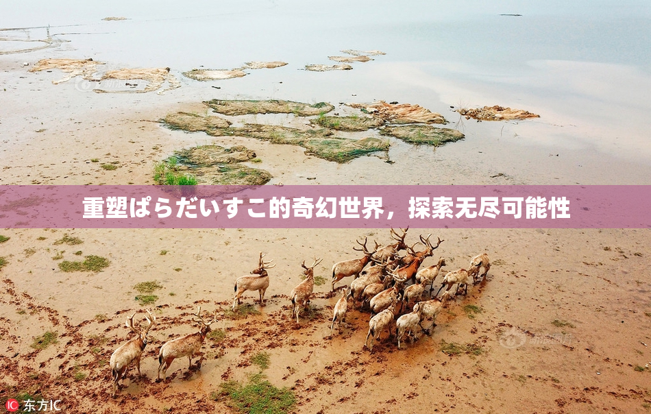 重塑ぱらだいすこ的奇幻世界，探索无尽可能性