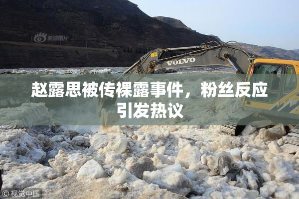 赵露思被传裸露事件，粉丝反应引发热议