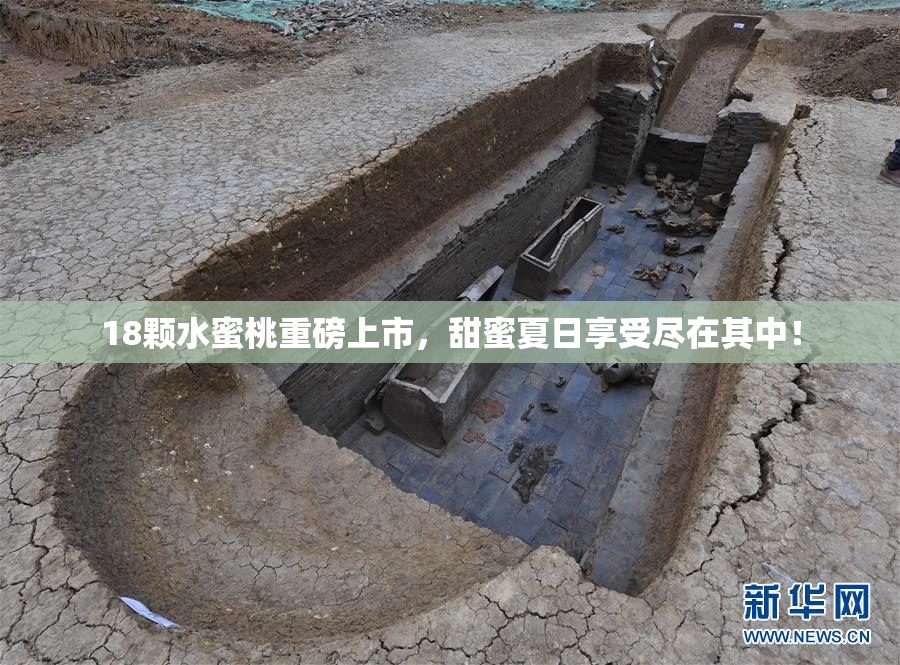 18颗水蜜桃重磅上市，甜蜜夏日享受尽在其中！