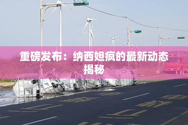 重磅发布：纳西妲疯的最新动态揭秘