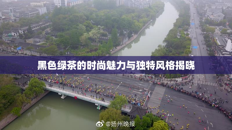 黑色绿茶的时尚魅力与独特风格揭晓
