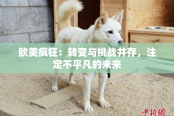 欧美疯狂：转变与挑战并存，注定不平凡的未来