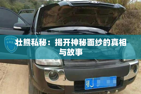 壮熊私秘：揭开神秘面纱的真相与故事