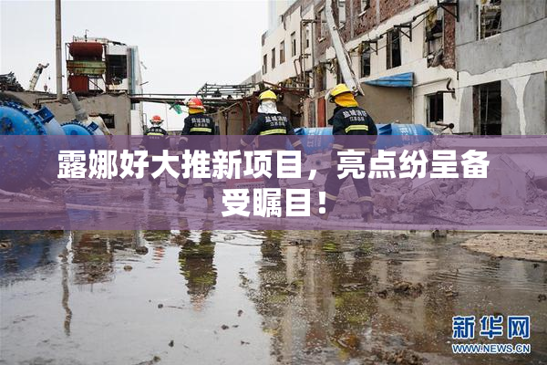 露娜好大推新项目，亮点纷呈备受瞩目！