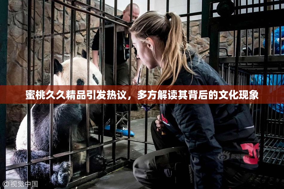 蜜桃久久精品引发热议，多方解读其背后的文化现象