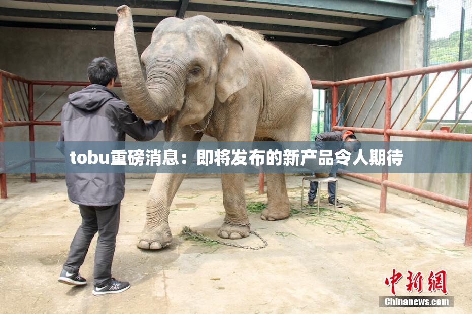 tobu重磅消息：即将发布的新产品令人期待
