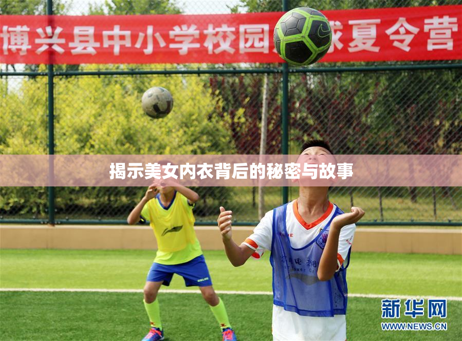 揭示美女内衣背后的秘密与故事