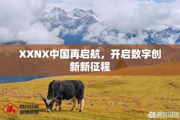 XXNX中国再启航，开启数字创新新征程