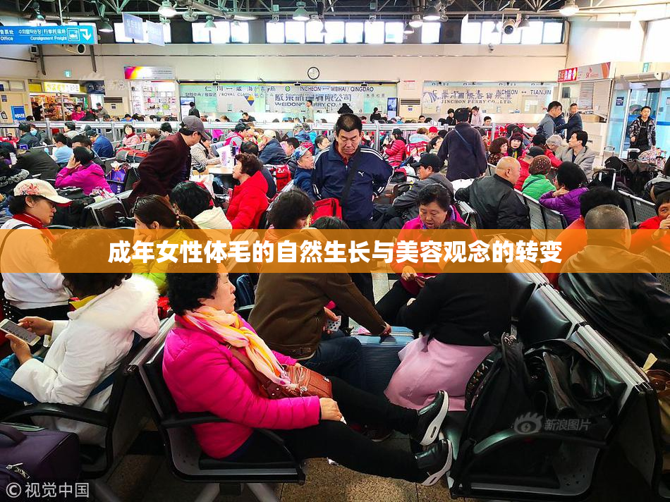 成年女性体毛的自然生长与美容观念的转变