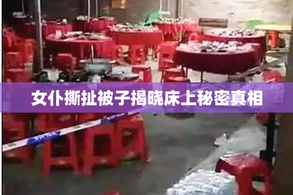 女仆撕扯被子揭晓床上秘密真相