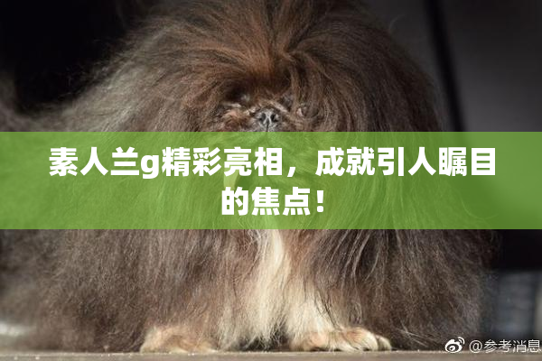 素人兰g精彩亮相，成就引人瞩目的焦点！