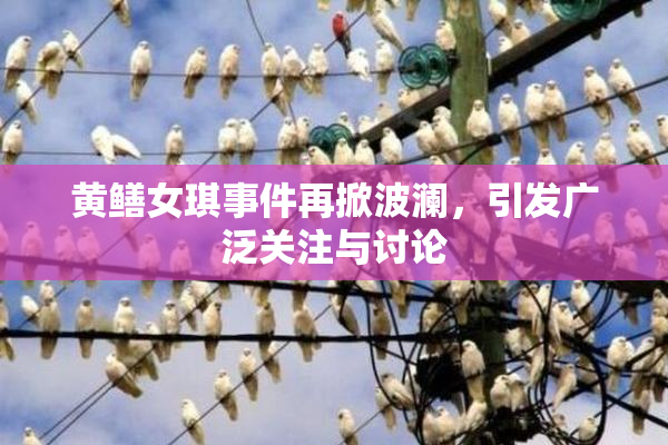 黄鳝女琪事件再掀波澜，引发广泛关注与讨论