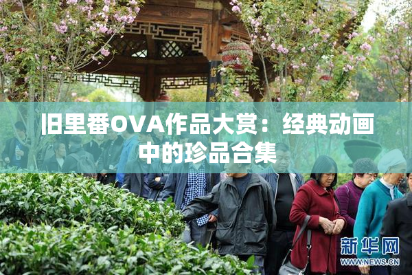 旧里番OVA作品大赏：经典动画中的珍品合集