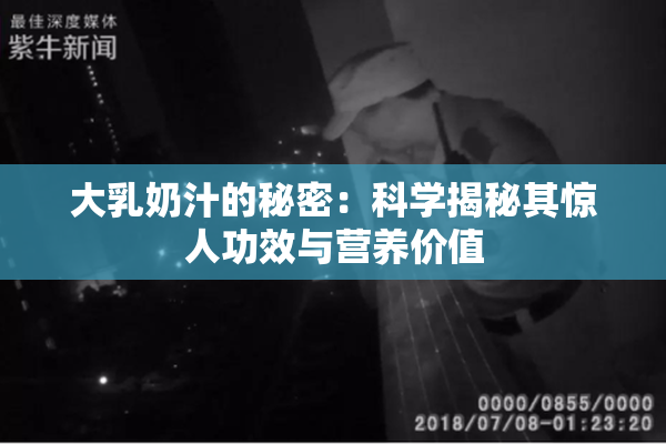 大乳奶汁的秘密：科学揭秘其惊人功效与营养价值