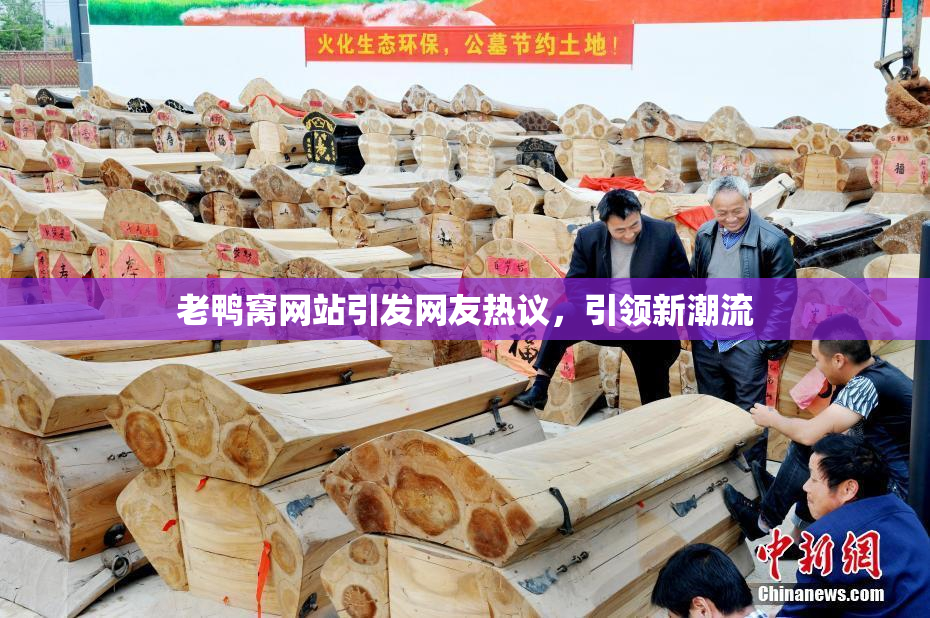 老鸭窝网站引发网友热议，引领新潮流