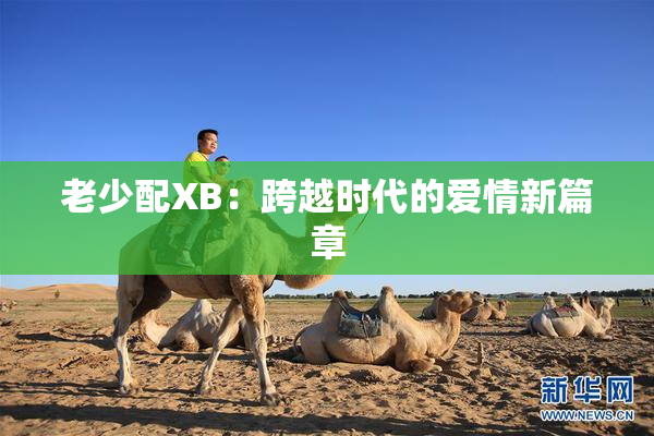 老少配XB：跨越时代的爱情新篇章