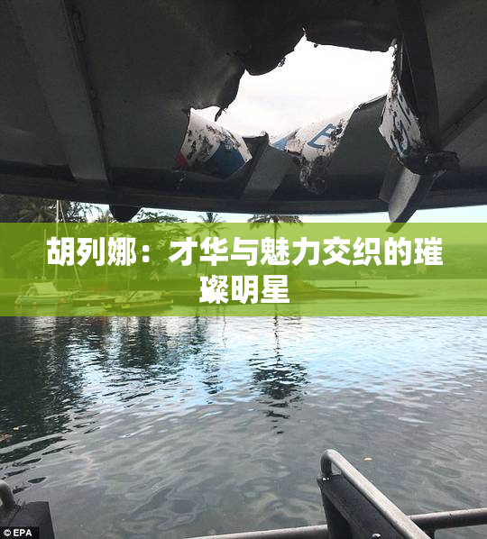 胡列娜：才华与魅力交织的璀璨明星