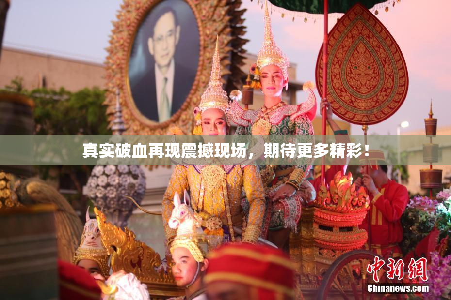 真实破血再现震撼现场，期待更多精彩！