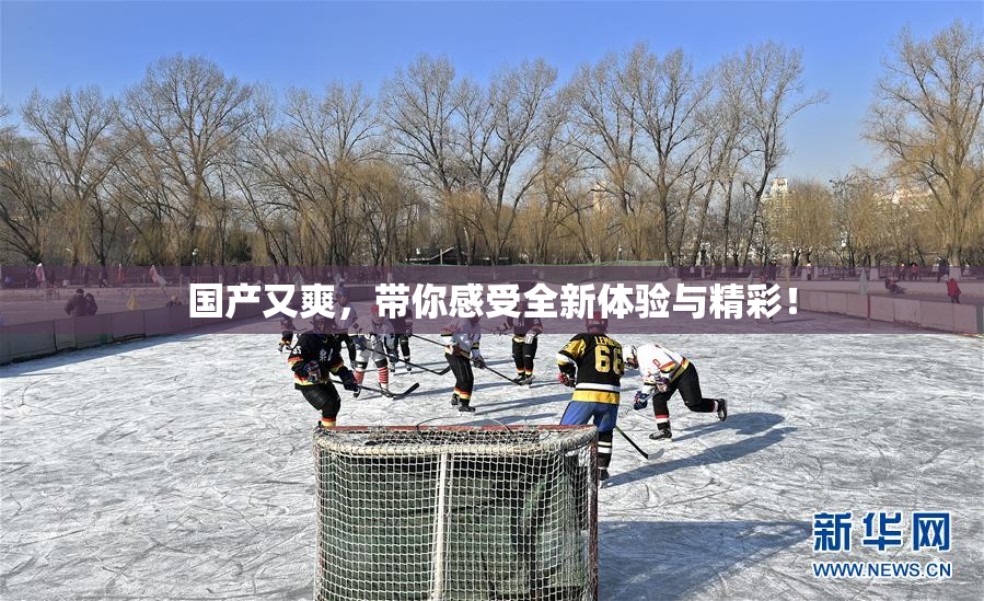 国产又爽，带你感受全新体验与精彩！