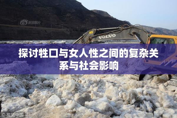 探讨牲囗与女人性之间的复杂关系与社会影响
