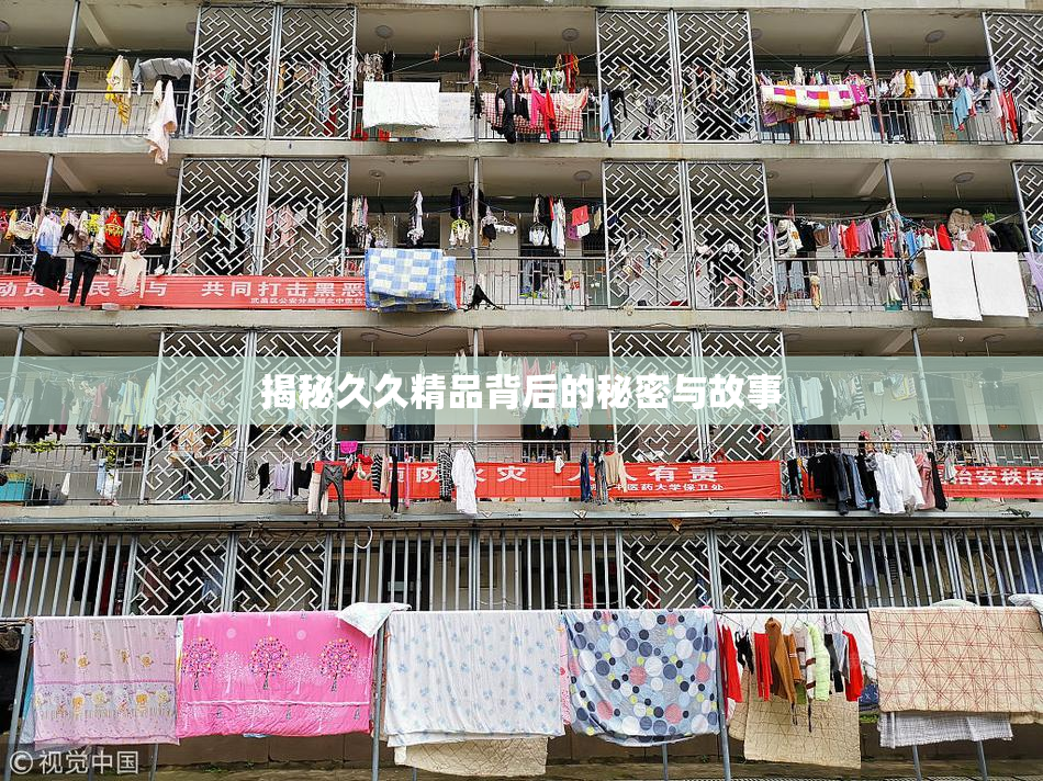 揭秘久久精品背后的秘密与故事