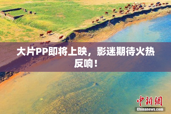 大片PP即将上映，影迷期待火热反响！