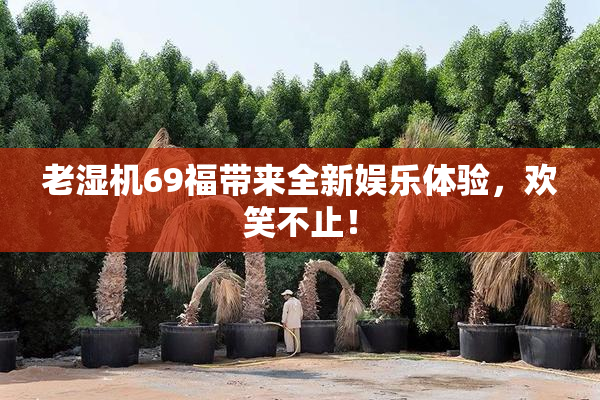 老湿机69福带来全新娱乐体验，欢笑不止！